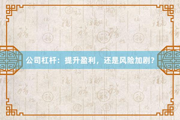 公司杠杆：提升盈利，还是风险加剧？