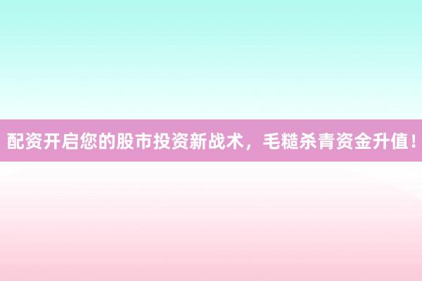 配资开启您的股市投资新战术，毛糙杀青资金升值！