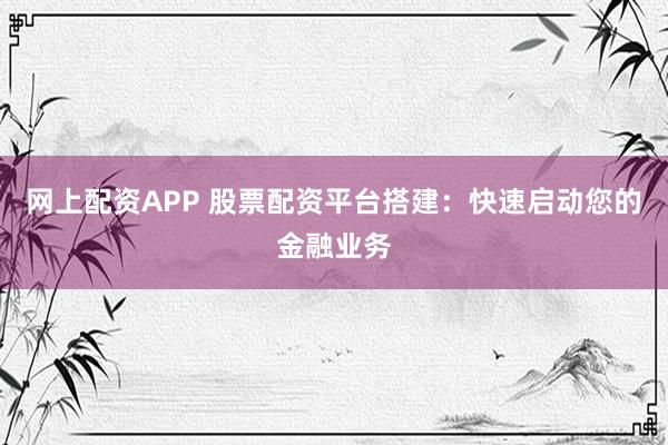 网上配资APP 股票配资平台搭建：快速启动您的金融业务