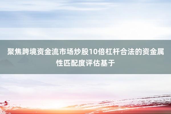 聚焦跨境资金流市场炒股10倍杠杆合法的资金属性匹配度评估基于
