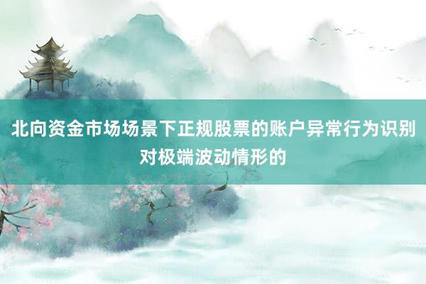 北向资金市场场景下正规股票的账户异常行为识别对极端波动情形的
