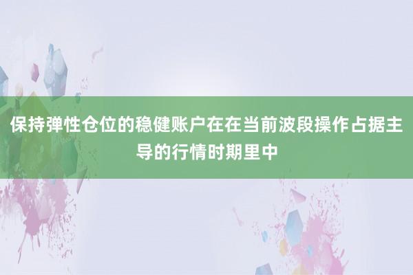 保持弹性仓位的稳健账户在在当前波段操作占据主导的行情时期里中