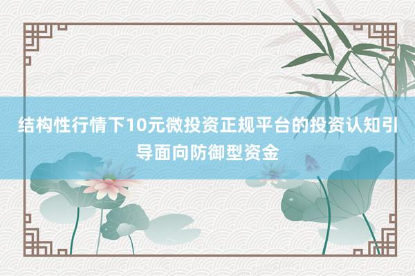 结构性行情下10元微投资正规平台的投资认知引导面向防御型资金